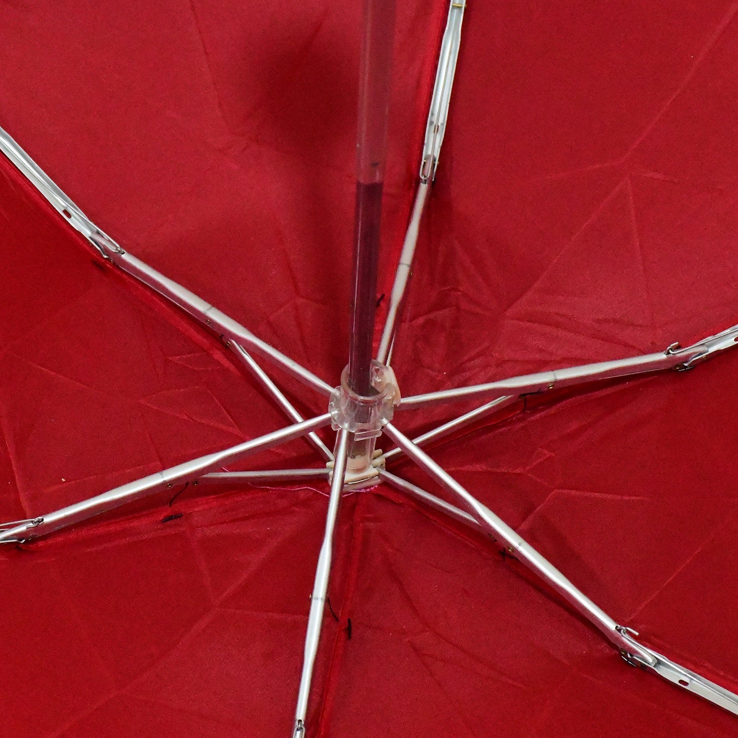 Cute Umbrella